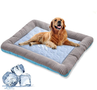 Hunde Bett mit Kühleffekt